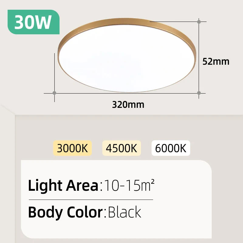 Modern LED Ceiling Lamp Chandelier LED Panel Lamp Bedroom Ceiling Light Kitchen Led Lighting for Living Room Home Decor Luminair