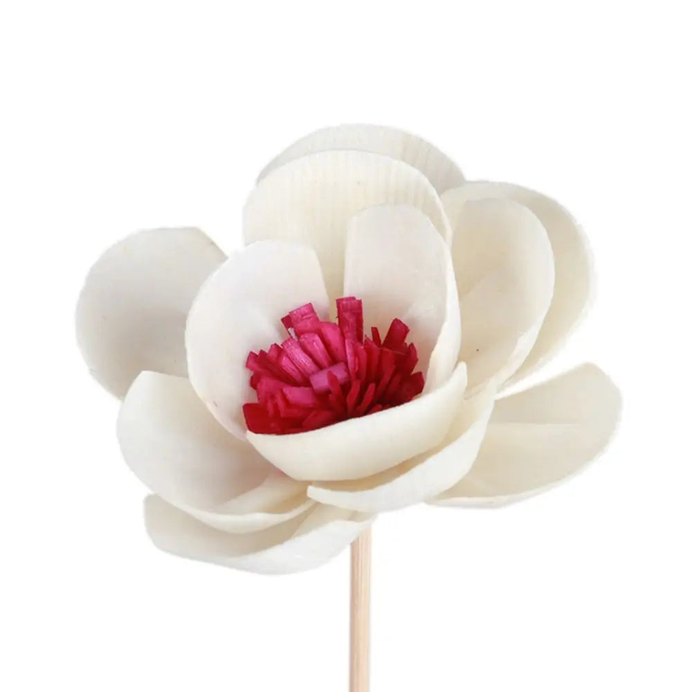 Diffuser Aroma Oil Diffuser  Aroma Oil Aromatherapy Flower Artificial Flower Aromatherapy Rattan  Diffuser