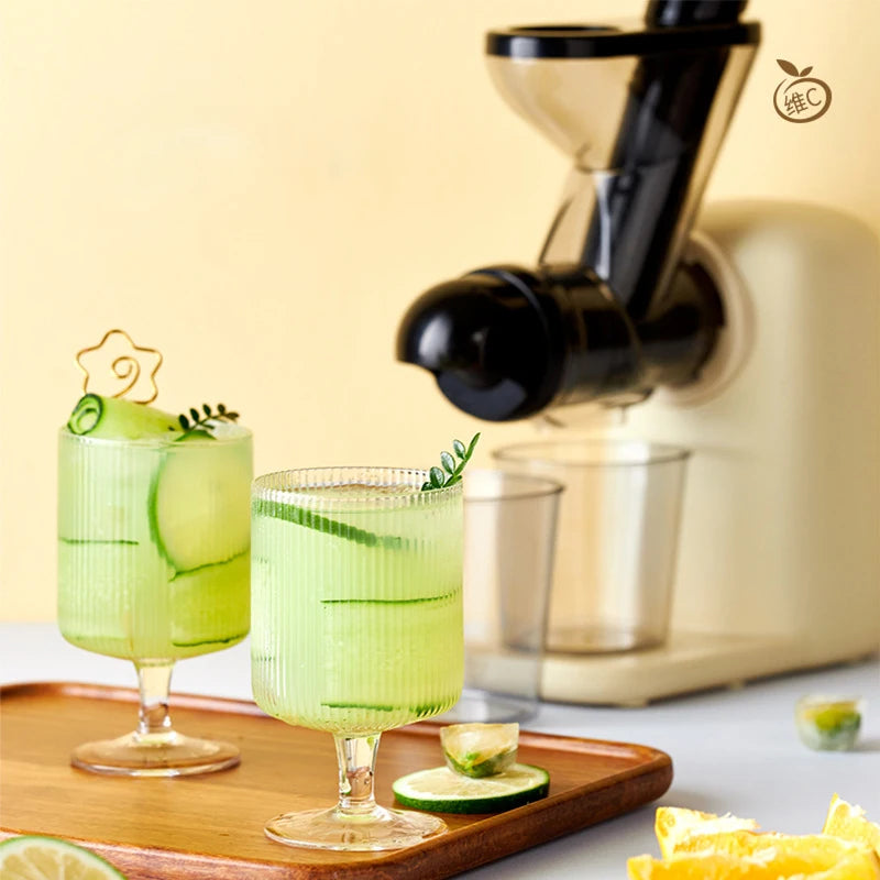 Slow Electric Juicer Multifunction Fruit Vegetable Screw Cold Press Extractor Automatic Squeezer Citrus Juicer Portable Blender